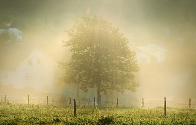 免费DDOS攻击测试工具