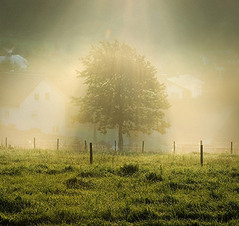 虚拟商品代理的怎么去攻击一个网站与防护