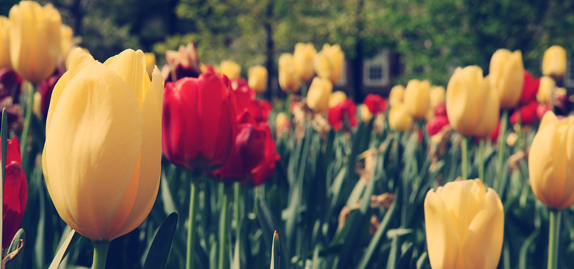 ddos在线攻击测试网站