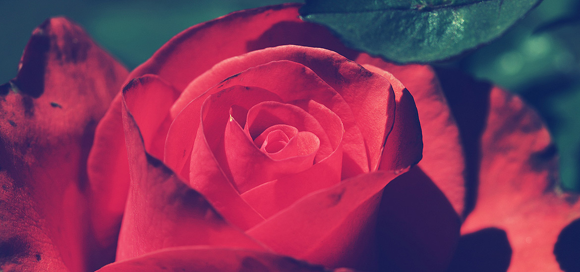 ddos流量攻击购买